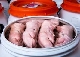 Salted Pig Feet Image